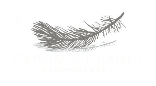 Candace Chaney Photography